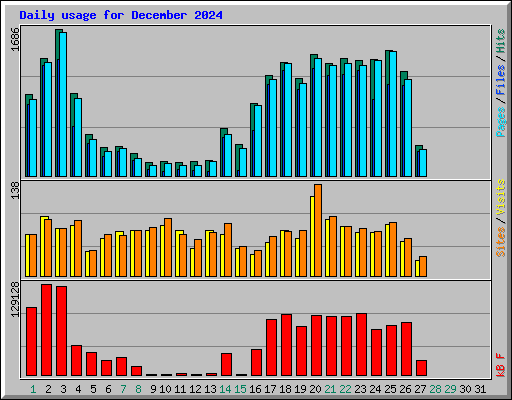 Daily usage for December 2024