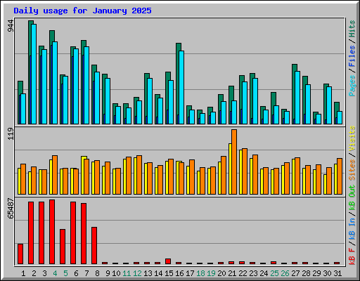 Daily usage for January 2025