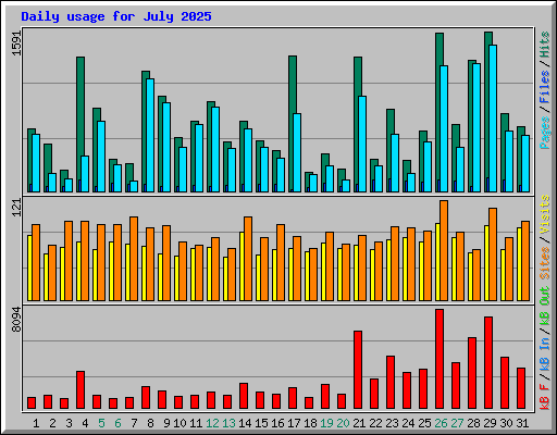 Daily usage for July 2025