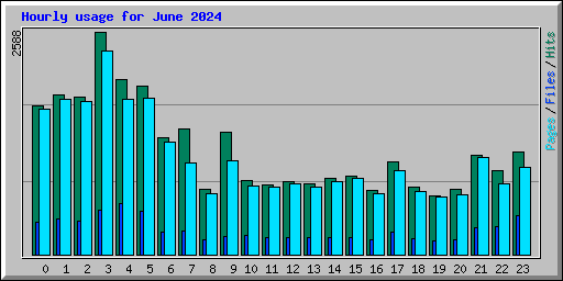 Hourly usage for June 2024