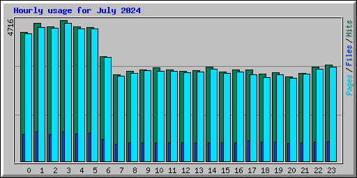 Hourly usage for July 2024