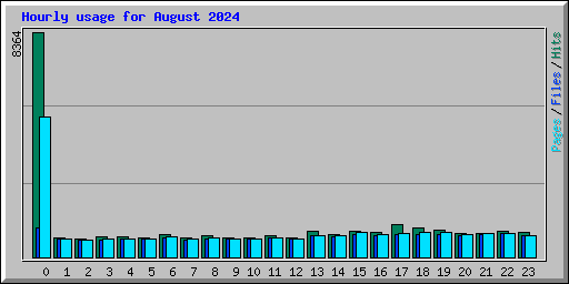 Hourly usage for August 2024