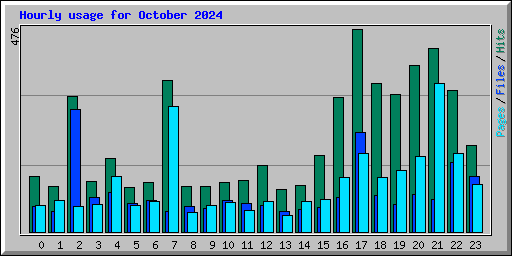 Hourly usage for October 2024