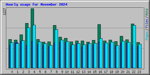 Hourly usage for November 2024