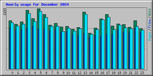 Hourly usage for December 2024