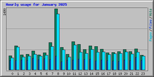 Hourly usage for January 2025