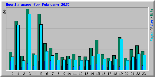 Hourly usage for February 2025