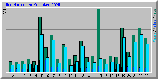 Hourly usage for May 2025