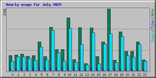 Hourly usage for July 2025