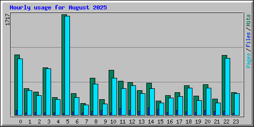 Hourly usage for August 2025