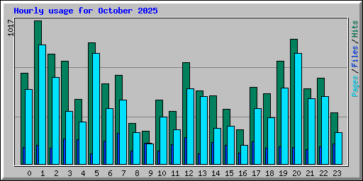 Hourly usage for October 2025