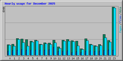 Hourly usage for December 2025
