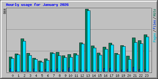 Hourly usage for January 2026