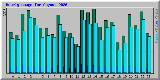 Hourly usage for August 2026