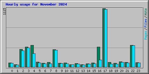 Hourly usage for November 2024