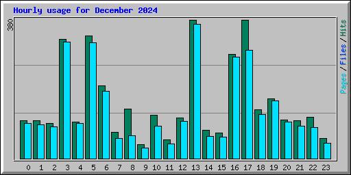 Hourly usage for December 2024