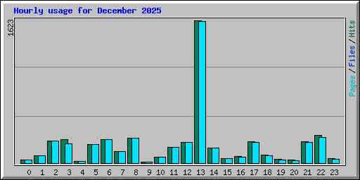 Hourly usage for December 2025