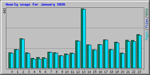 Hourly usage for January 2026