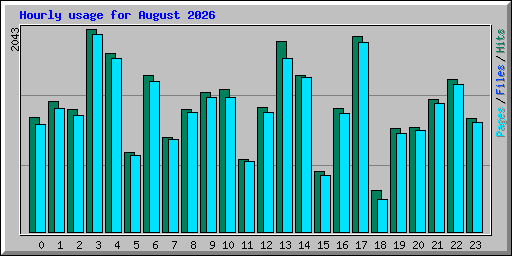Hourly usage for August 2026